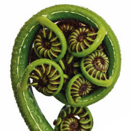 secretly planting this image to see if google index will use it as my thumbnail